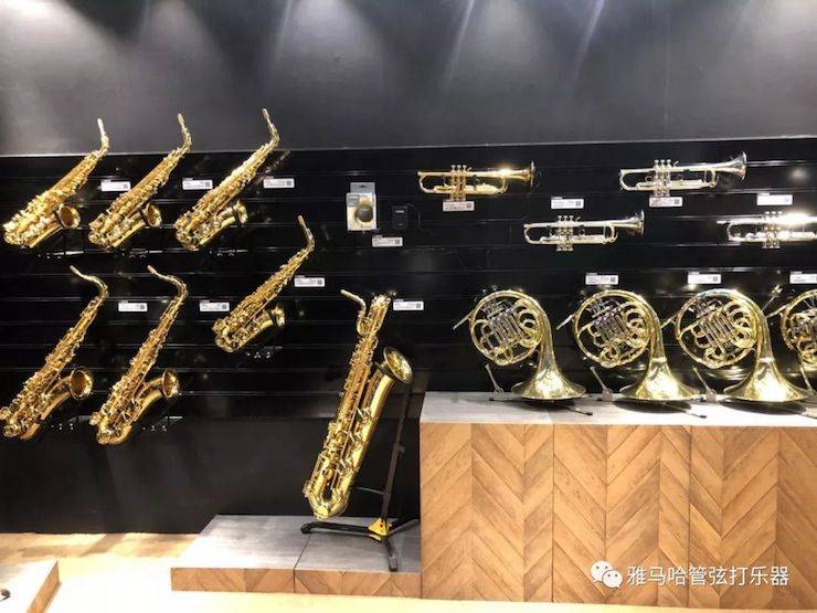 合乐HL8乐器 试奏乐器