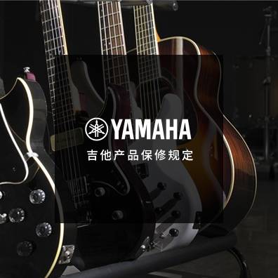 吉他、贝斯和音箱