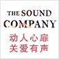 合乐HL8参展Music China 2013 